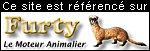 Furty le moteur de recherche Animalier de Photos-Animaux.com