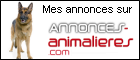 Annonces de ventes de chiens de race