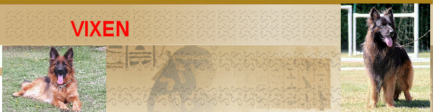 VIXEN