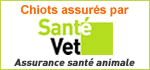 Bannière SantéVet 150x70 pixels Bannière 150x70 pixels